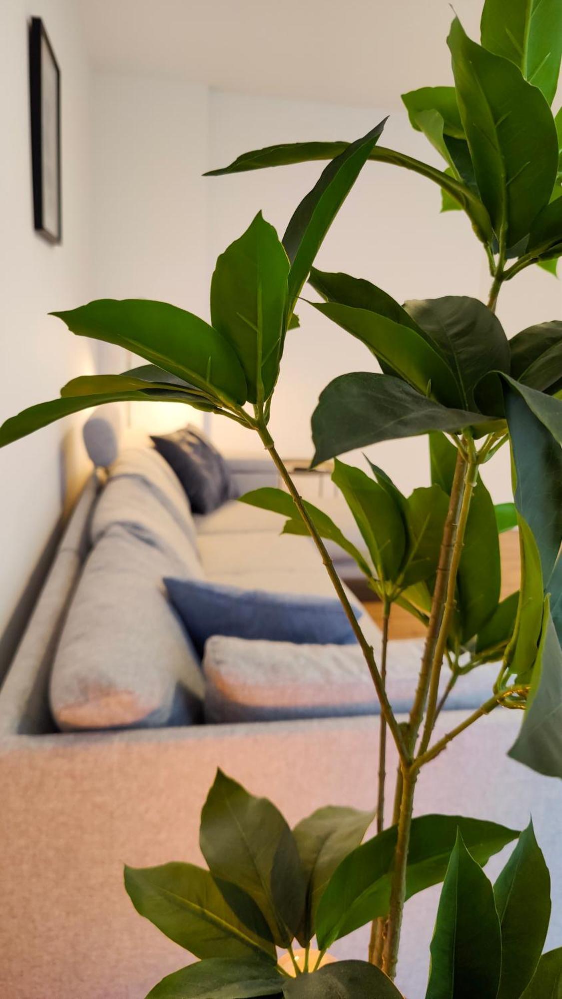 Hygge Home - Mit Garten Und Stellplatz Fuer Feriengaeste-, Monteure / Netflix / 10 Min. Zur Sinsheim Therme Und Zur Autobahn Exterior foto